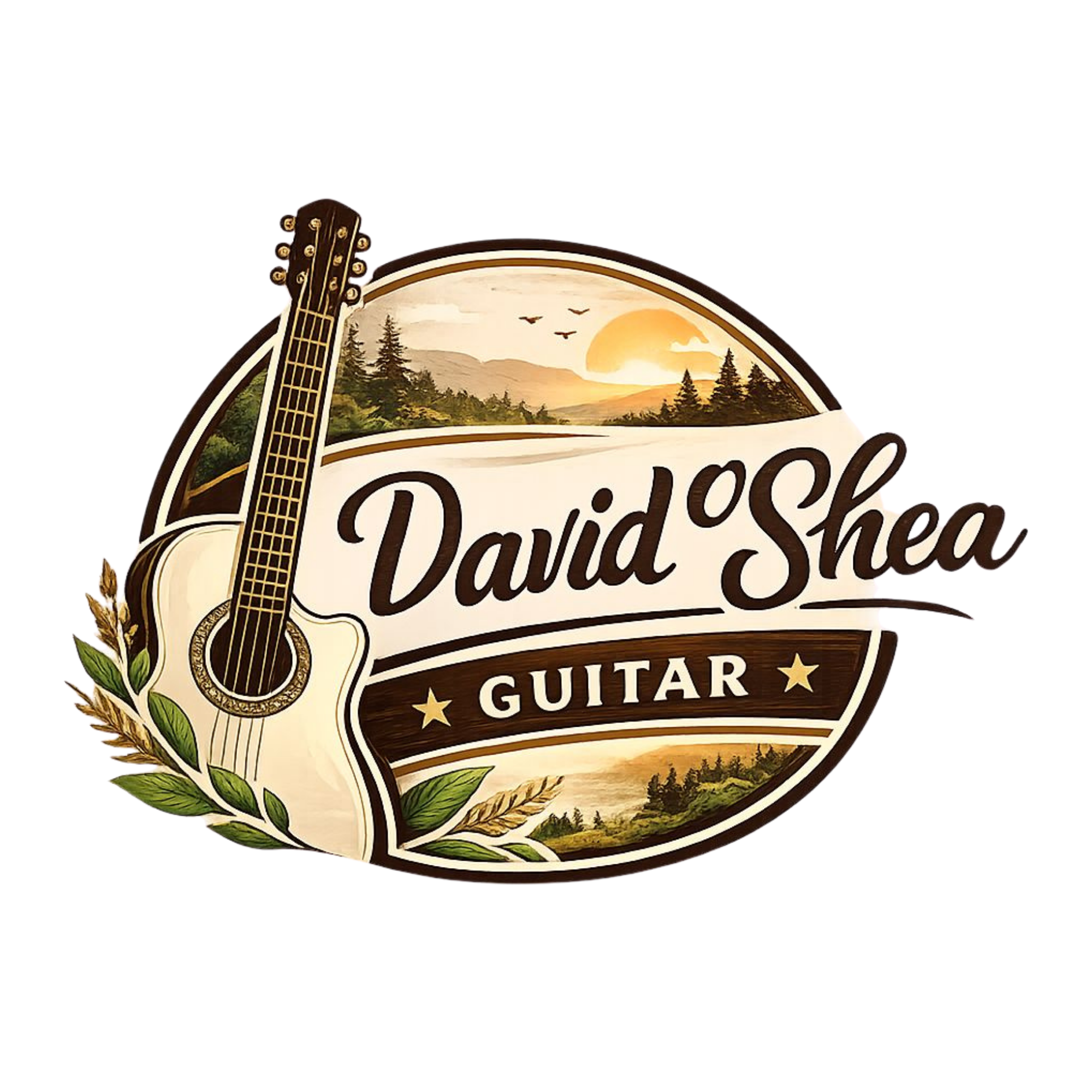 David O'Shea Guitar